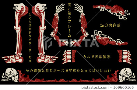 Bone and muscle frame (with text/vector material) 109600166