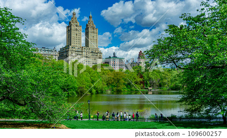 Luxury apartment overlooking New York's Central Park Luxury apartment overlooking New York's Central Park 109600257
