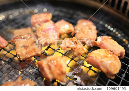 荷爾蒙肉 荷爾蒙肉 109601493