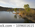 Grasslands and trees on Patagonia Lake, Patagonia Lake State Park, Arizona, USA 109601615