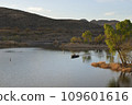 Patagonia Lake State Park, Arizona, USA 109601616