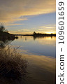 Patagonia Lake State Park, Arizona, USA 109601659