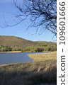 Patagonia Lake State Park, Arizona, USA 109601666