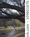 People walking along a trail with dog, Patagonia Lake State Park, Arizona, USA 109601676