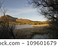 Patagonia Lake State Park, Arizona, USA 109601679