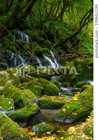 Mototaki underground water tourist attraction in Nikaho City, Akita Prefecture 109602199