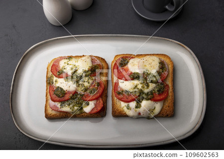 Toast with mozzarella cheese, tomatoes and pesto sauce. Hot breakfast baked in the oven with a cup of coffee. Traditional dish, home cooking. Selective focus, close-up. Toast with mozzarella cheese, tomatoes and pesto sauce. Hot breakfast baked in the oven with a cup of coffee. Traditional dish, home cooking. Selective focus, close-up. 109602563