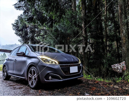 peugeot 208 peugeot 208 109602720