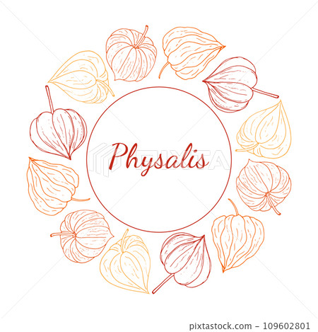 Physalis circular decorative frame. Organic healthy food wreath with space for text. Vector illustration for wallpaper, wrapping paper, package design, and background. 109602801