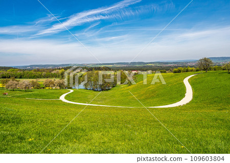 Cherry blossoms on the hills around Kalchreuth, Germany in Franconian Switzerland 109603804