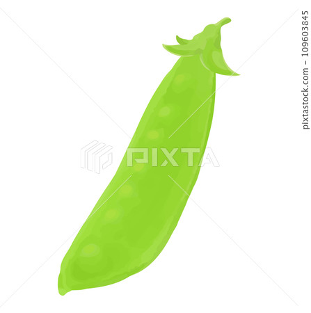 雪豆手繪風格插畫 109603845