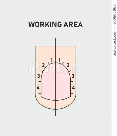 Guide to professional manicure, Vector, infographics. Training of masters of manicure. Working area Guide to professional manicure, Vector, infographics. Training of masters of manicure. Working area 109603969