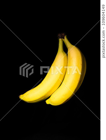Yellow Cavendish bananas, musa acuminata against a black background, Belgium 109604149