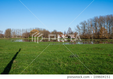 Flooded meadows with houses reflecting in the water,  Imde, Belgium 109604151