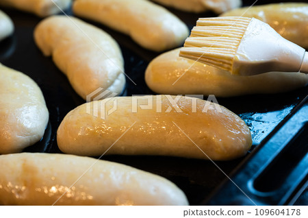 Unbaked dough of sandwich buns, covered with yolk, Belgium Unbaked dough of sandwich buns, covered with yolk, Belgium 109604178