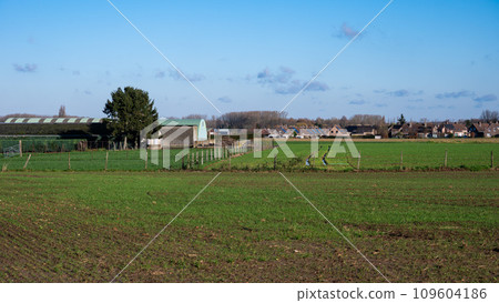 Green farmland, staples and houses at the countryside around Meise, Flemish Brabant, Belgium 109604186
