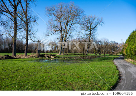Bare winter trees reflecting in shallow water and a bending road around Imde, Belgium 109604196