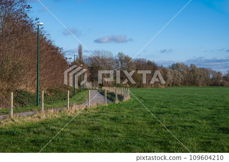 Colorful nature landscape with autumn trees and meadows around Kapelle op den Bos, Brabant , Belgium Colorful nature landscape with autumn trees and meadows around Kapelle op den Bos, Brabant , Belgium 109604210