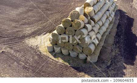 Many bales of wheat straw rolls on wheat field after wheat harvest . Flying over bales straw rolls on field. Agricultural agro-industrial agrarian. Aerial drone view Many bales of wheat straw rolls on wheat field after wheat harvest . Flying over bales straw rolls on field. Agricultural agro-industrial agrarian. Aerial drone view 109604655