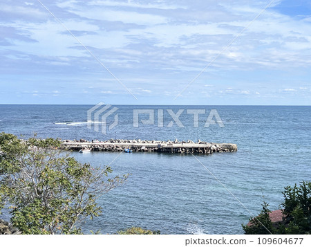 Beautiful view of stone barrier for blocking the sea waves 109604677