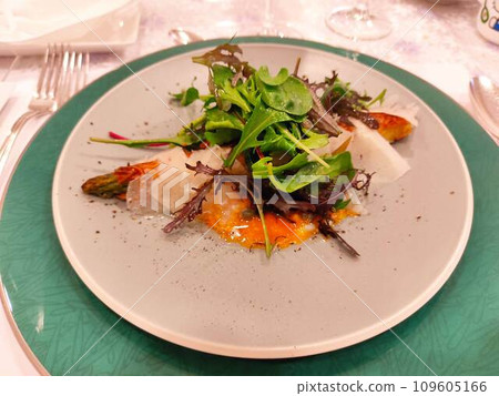 美味的鮭魚生牛肉片 美味的鮭魚生牛肉片 109605166