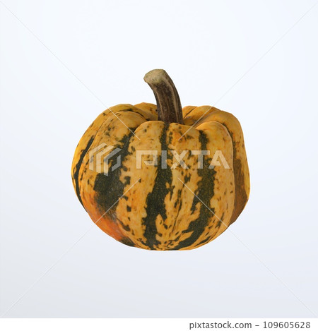 Pumpkin isolated on white background Pumpkin isolated on white background 109605628