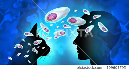 Toxoplasmosis From Cat To Human 109605795
