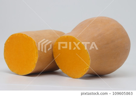 Butternut squash isolated on white background. butternut squash on a white background 109605863