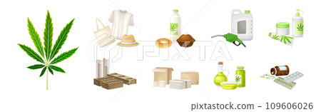 Hemp and Cannabis Sativa Production and Processing Vector Set 109606026