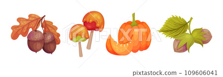 Thanksgiving Autumn Holiday Symbol and Object Vector Set Thanksgiving Autumn Holiday Symbol and Object Vector Set 109606041