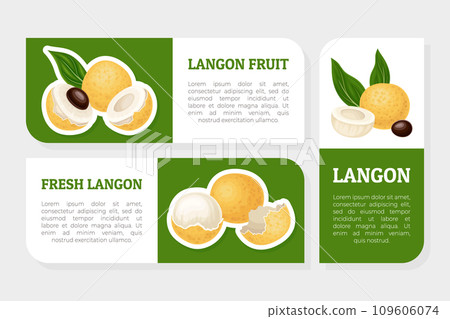 Longan Fresh Natural Fruit Label Design Vector Template 109606074