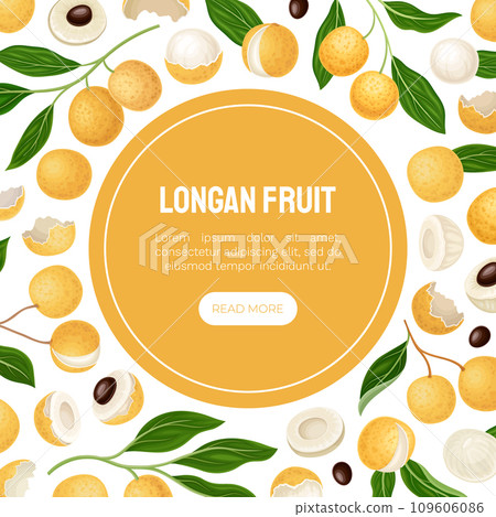 Longan Fresh Natural Fruit Banner Design Vector Template Longan Fresh Natural Fruit Banner Design Vector Template 109606086