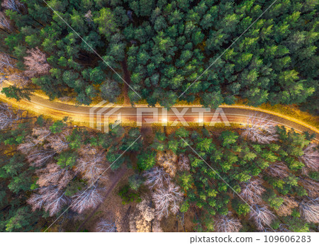 Aerial view of road in beautiful autumn forest at sunset. Beautiful landscape with empty rural road, trees with red and orange leaves. Aerial view of road in beautiful autumn forest at sunset. Beautiful landscape with empty rural road, trees with red and orange leaves. 109606283
