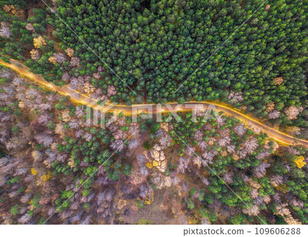 Aerial view of road in beautiful autumn forest at sunset. Beautiful landscape with empty rural road, trees with red and orange leaves. Aerial view of road in beautiful autumn forest at sunset. Beautiful landscape with empty rural road, trees with red and orange leaves. 109606288