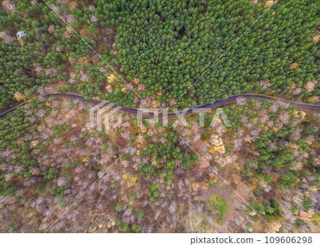 Aerial view of road in beautiful autumn forest at sunset. Beautiful landscape with empty rural road, trees with red and orange leaves. Aerial view of road in beautiful autumn forest at sunset. Beautiful landscape with empty rural road, trees with red and orange leaves. 109606298