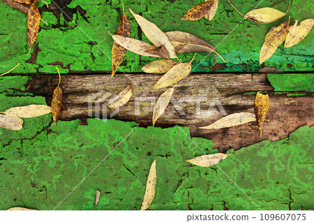 Autumn yellow fallen leaves and twigs on old wooden background texture of boards with cracked green paint. Shabby grunge wood panels, frame, flat lay. Fall season concept Autumn yellow fallen leaves and twigs on old wooden background texture of boards with cracked green paint. Shabby grunge wood panels, frame, flat lay. Fall season concept 109607075