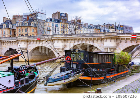 Winter Seine and Pont Neuf, Paris, France 109607236