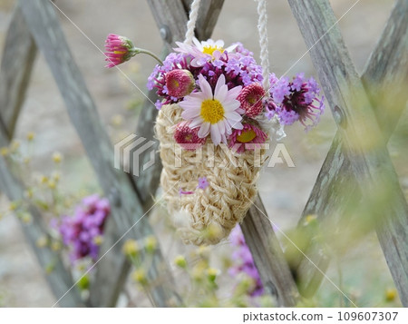 花架上的花籃 花架上的花籃 109607307