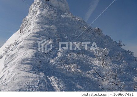 冬天的劍峰山登山道 109607481