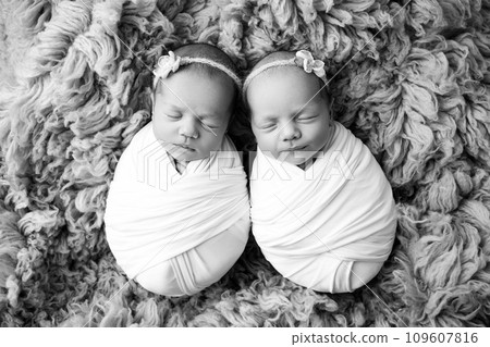 Tiny newborn twin girls in white cocoons. A newborn twin sleeps next to his sister. Newborn twin girls in white headbands with flowers. Black and white.  109607816