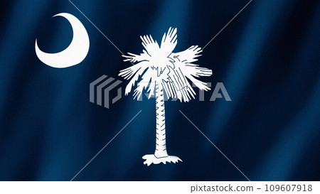 South Carolina Flag. Flag of South Carolina images - Stock Illustration ...