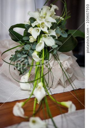 Cascade of Calla Lilies: A Bridal Bouquet Cascade of Calla Lilies: A Bridal Bouquet 109607950