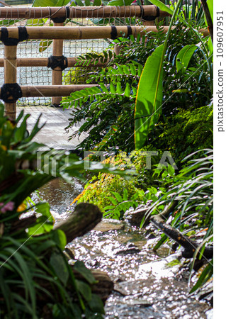 Serene Garden Stream 109607951
