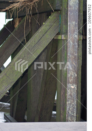 Under the Pier: An Interplay of Wooden Structures 109607952