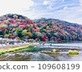 京都嵐山的秋葉 109608199
