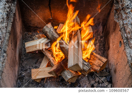 森林深處的壁爐裡的火 109608567