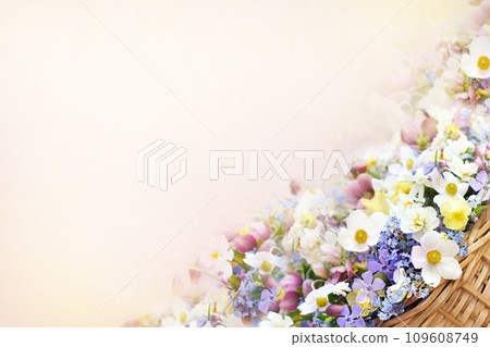 Blossoming white and light yellow daffodils, pink hyacinths and spring flowers festive background, bright springtime bouquet floral card, selective focus, shallow DOF Blossoming white and light yellow daffodils, pink hyacinths and spring flowers festive background, bright springtime bouquet floral card, selective focus, shallow DOF 109608749