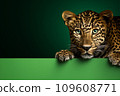 AI-generated content. Leopard portrait isolated on green background. Banner with a leopard and copy space. 109608771