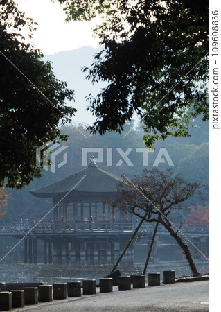 Ukifumido of Nara Park 109608836