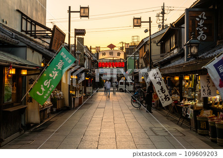 [東京]柴又帝釋天參道，昭和復古街景的黃昏 109609203